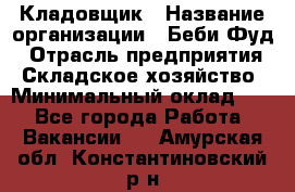 Кладовщик › Название организации ­ Беби Фуд › Отрасль предприятия ­ Складское хозяйство › Минимальный оклад ­ 1 - Все города Работа » Вакансии   . Амурская обл.,Константиновский р-н